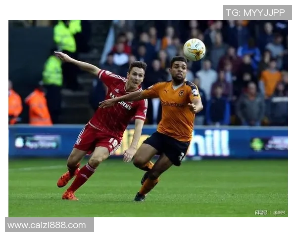 雷丁对阵狼队精彩直播全程回顾与赛后分析