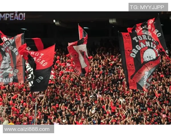 恒大与香港东方对决激情四溢球迷齐声呐喊助威共创精彩瞬间 恒大与香港东方对决激情四溢球迷齐声呐喊助威共创精彩瞬间