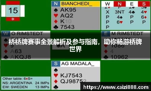 桥桥牌赛事全景解析及参与指南，助你畅游桥牌世界